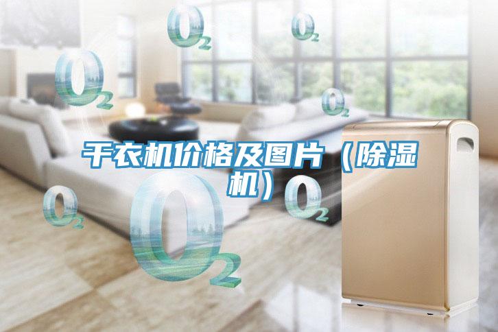 干衣机价格及图片（小黄片直播视频）