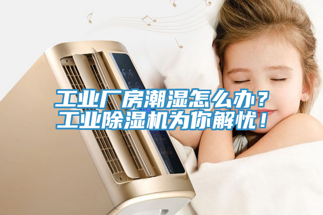 工业厂房潮湿怎么办？工业小黄片直播视频为你解忧！