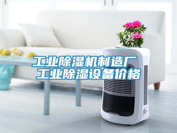 工业小黄片直播视频制造厂 工业除湿设备价格