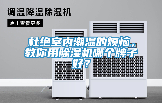 杜绝室内潮湿的烦恼，教你用小黄片直播视频哪个牌子好？