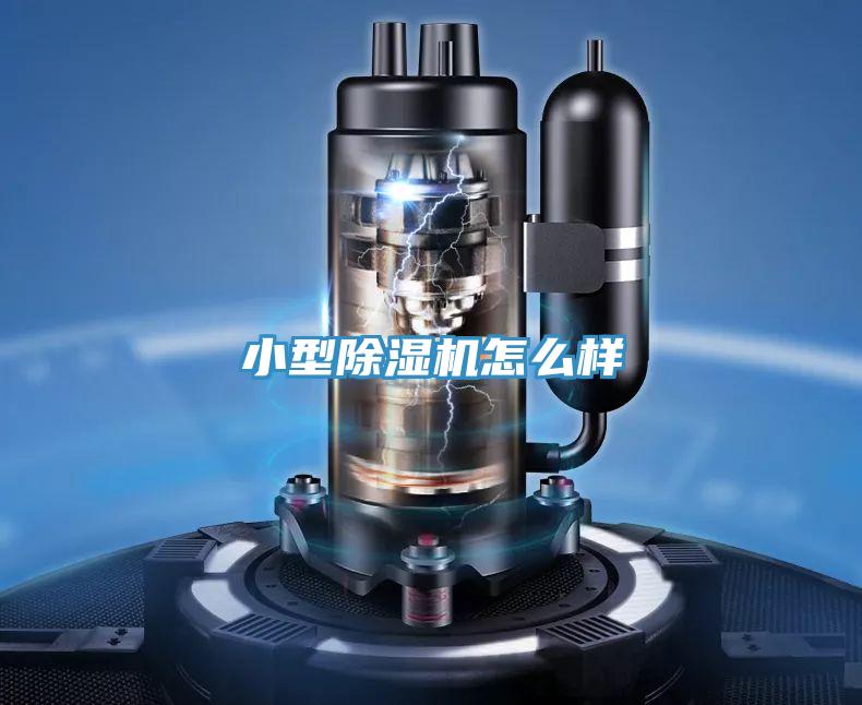 小型小黄片直播视频怎么样