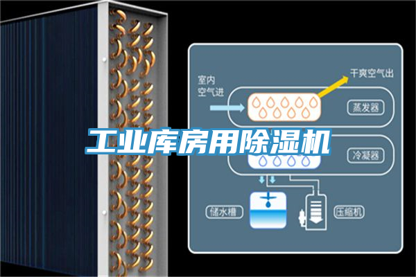 工业库房用小黄片直播视频