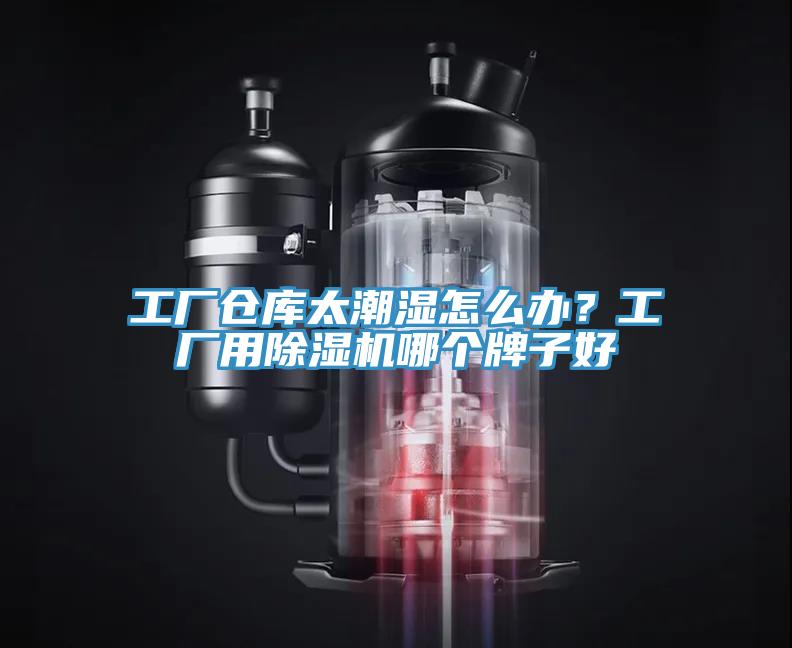 工厂仓库太潮湿怎么办？工厂用小黄片直播视频哪个牌子好