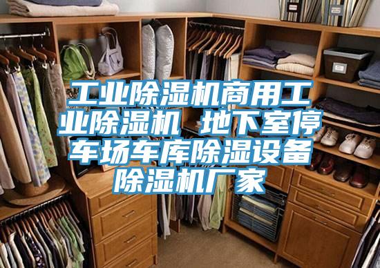 工业小黄片直播视频商用工业小黄片直播视频 地下室停车场车库除湿设备小黄片直播视频厂家