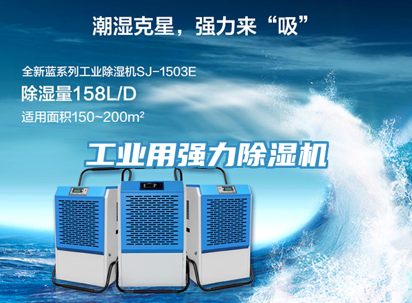 工业用强力小黄片直播视频