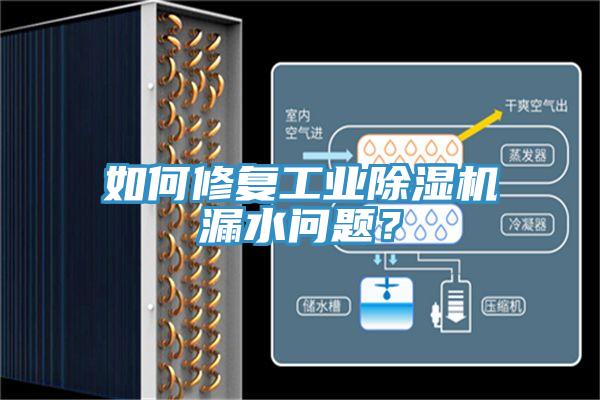 如何修复工业小黄片直播视频漏水问题？