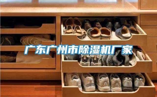 广东广州市小黄片直播视频厂家