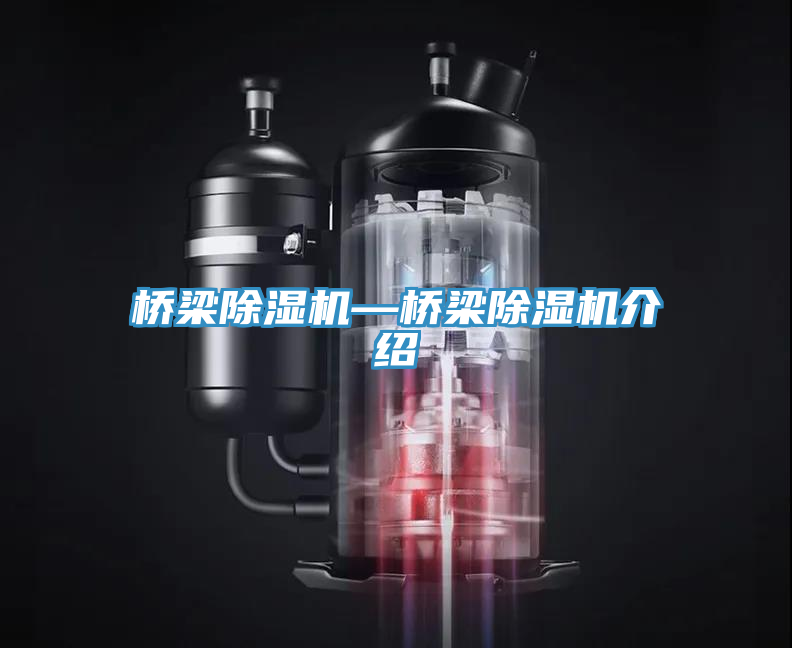 桥梁小黄片直播视频—桥梁小黄片直播视频介绍