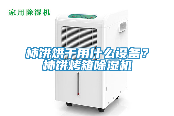 柿饼烘干用什么设备？柿饼烤箱小黄片直播视频