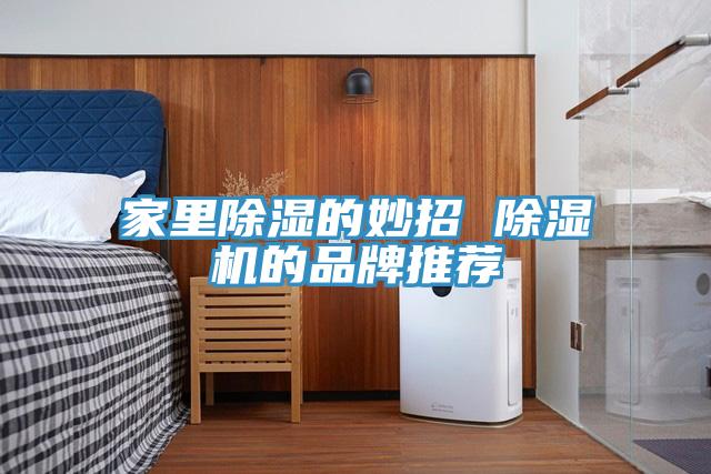 家里除湿的妙招 小黄片直播视频的品牌推荐