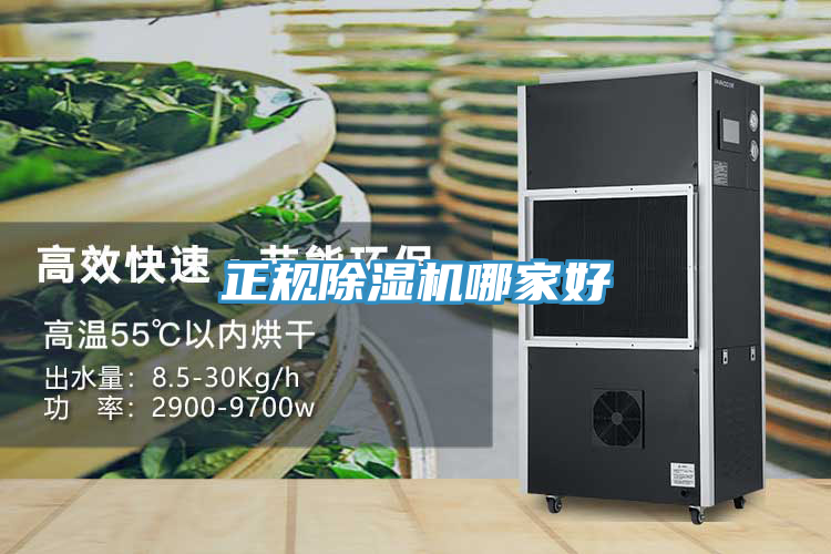 正规小黄片直播视频哪家好