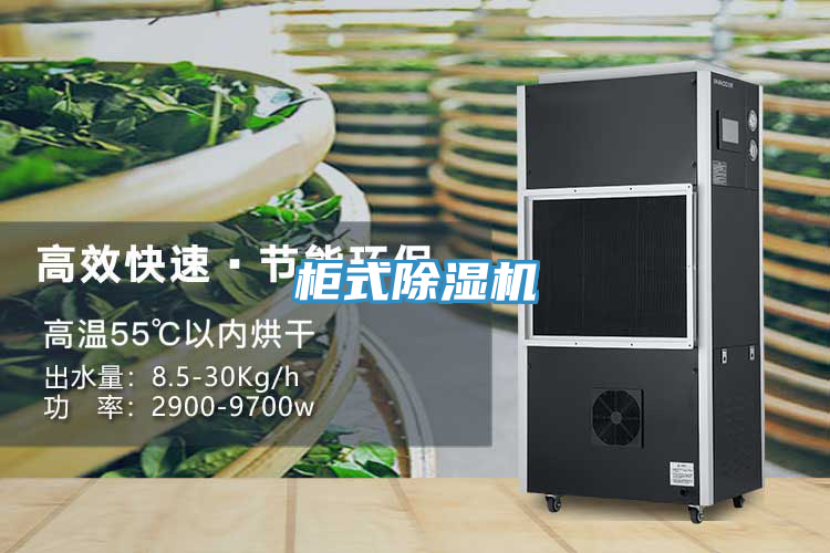 柜式小黄片直播视频