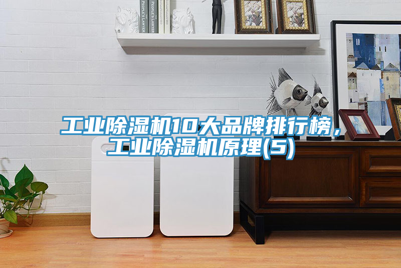 工业小黄片直播视频10大品牌排行榜，工业小黄片直播视频原理(5)