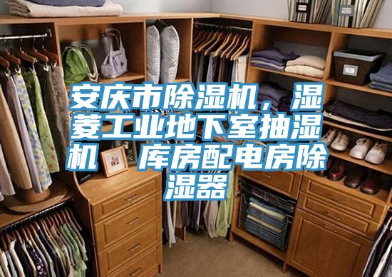 安庆市小黄片直播视频，湿菱工业地下室抽湿机  库房配电房除湿器