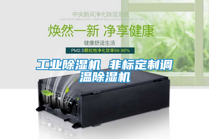 工业小黄片直播视频 非标定制调温小黄片直播视频