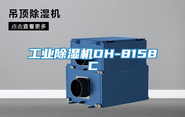 工业小黄片直播视频DH-8158C