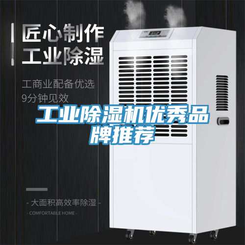 工业小黄片直播视频优秀品牌推荐