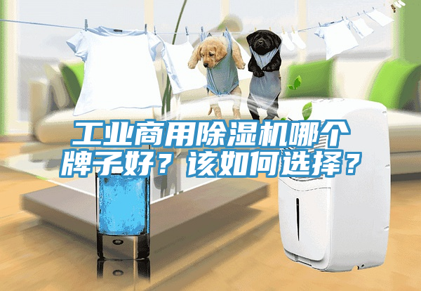 工业商用小黄片直播视频哪个牌子好？该如何选择？