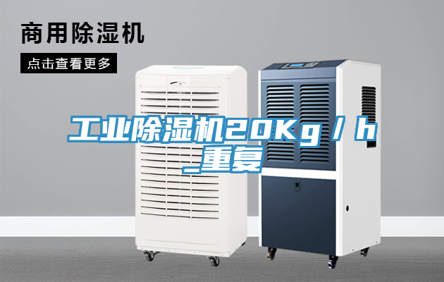 工业小黄片直播视频20Kg／h_重复