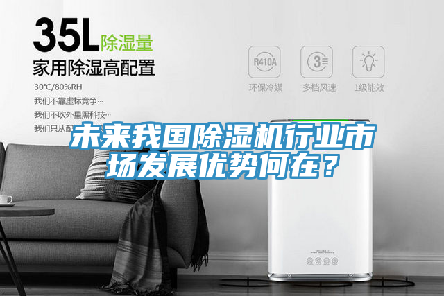 未来我国小黄片直播视频行业市场发展优势何在？