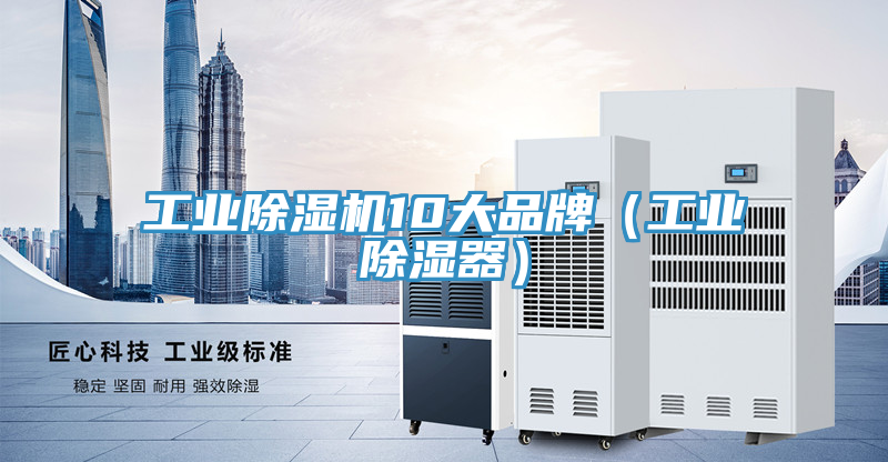 工业小黄片直播视频10大品牌（工业除湿器）