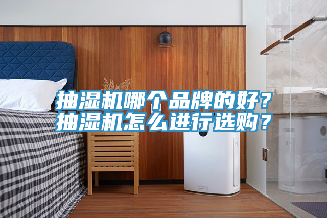 抽湿机哪个品牌的好？抽湿机怎么进行选购？