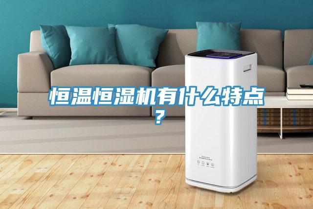 恒温恒湿机有什么特点？