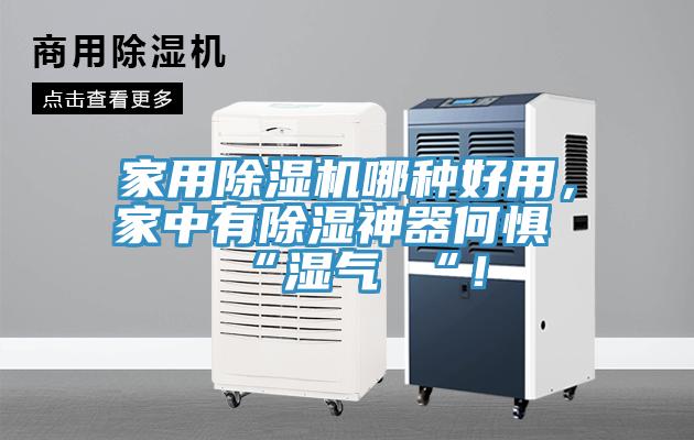 家用小黄片直播视频哪种好用，家中有除湿神器何惧 “湿气 “！
