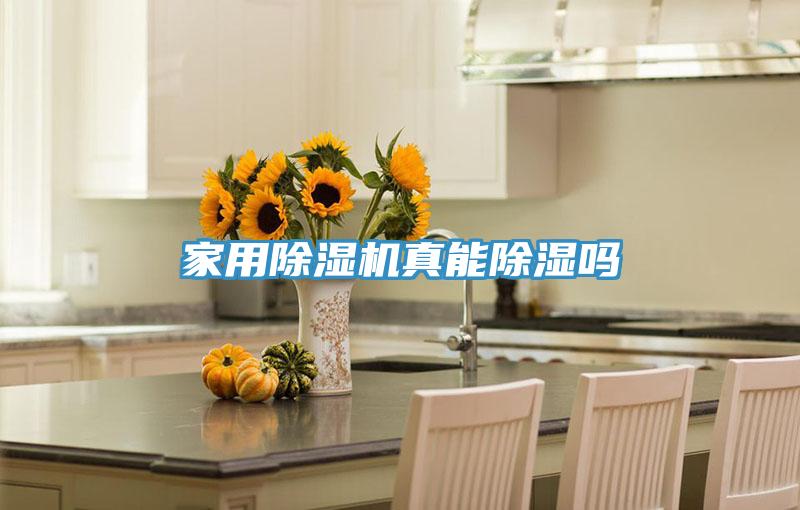 家用小黄片直播视频真能除湿吗