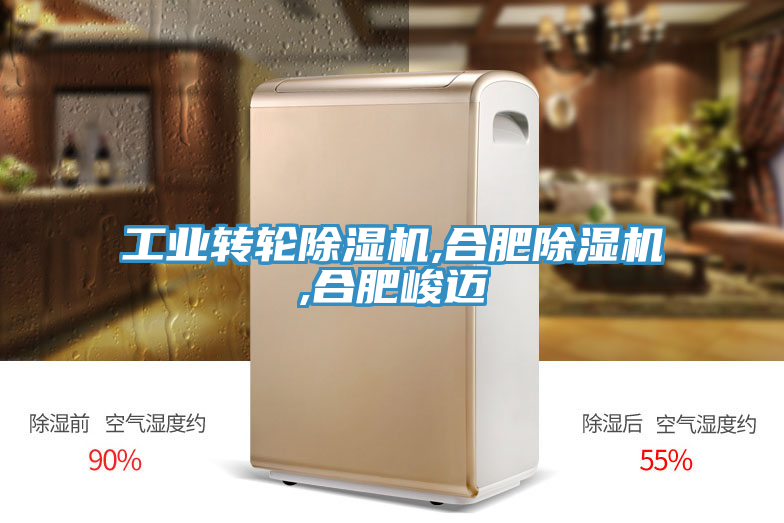 工业转轮小黄片直播视频,合肥小黄片直播视频,合肥峻迈