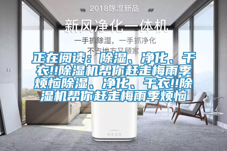 正在阅读：除湿、净化、干衣!!小黄片直播视频帮你赶走梅雨季烦恼除湿、净化、干衣!!小黄片直播视频帮你赶走梅雨季烦恼