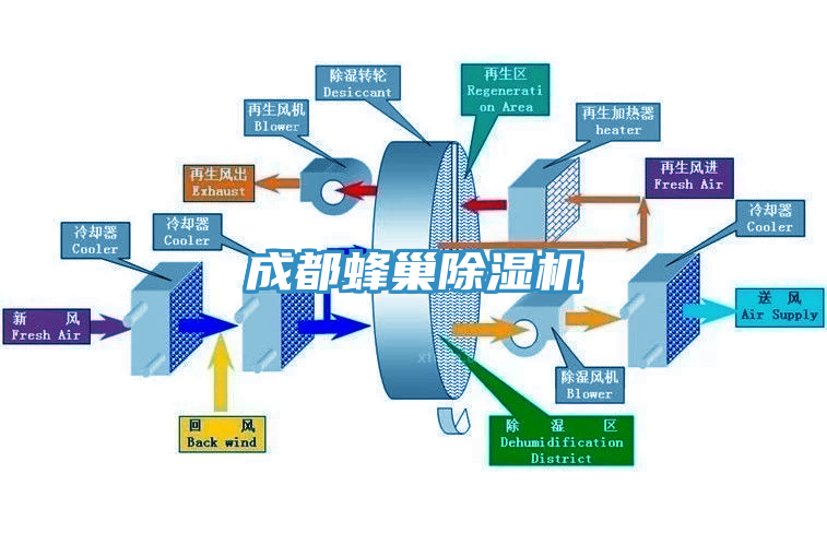 成都蜂巢小黄片直播视频