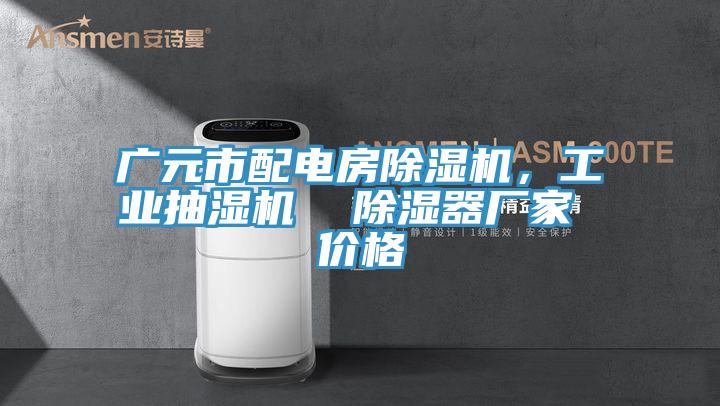 广元市配电房小黄片直播视频，工业抽湿机  除湿器厂家 价格