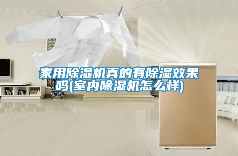 家用小黄片直播视频真的有除湿效果吗(室内小黄片直播视频怎么样)