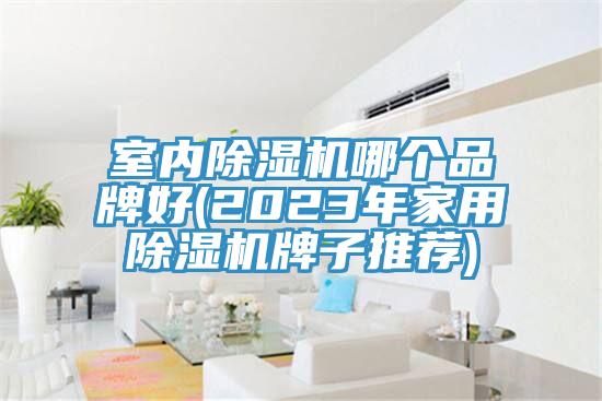 室内小黄片直播视频哪个品牌好(2023年家用小黄片直播视频牌子推荐)