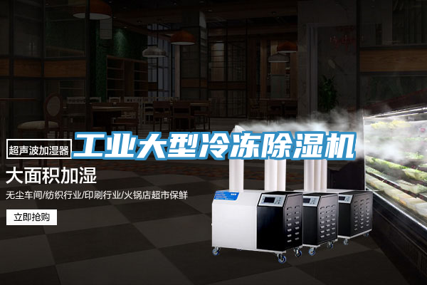 工业大型冷冻小黄片直播视频