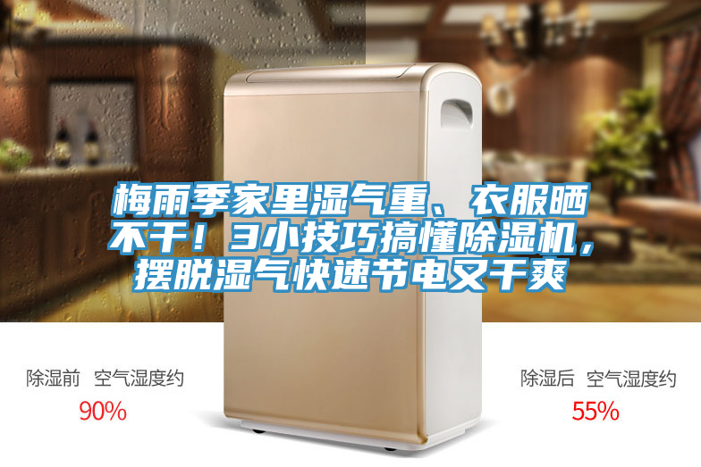 梅雨季家里湿气重、衣服晒不干！3小技巧搞懂小黄片直播视频，摆脱湿气快速节电又干爽