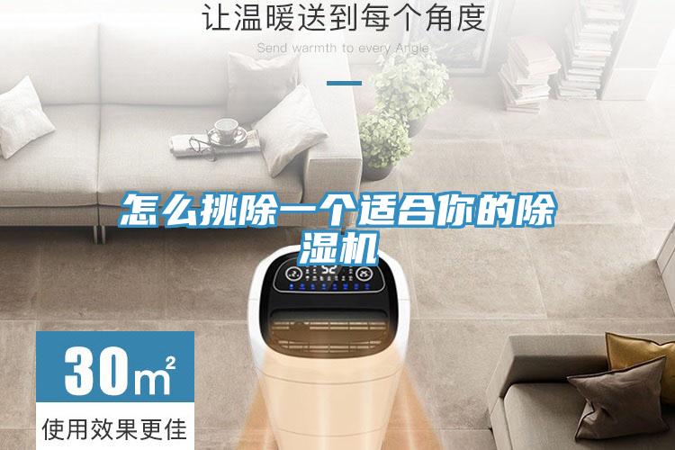 怎么挑除一个适合你的小黄片直播视频