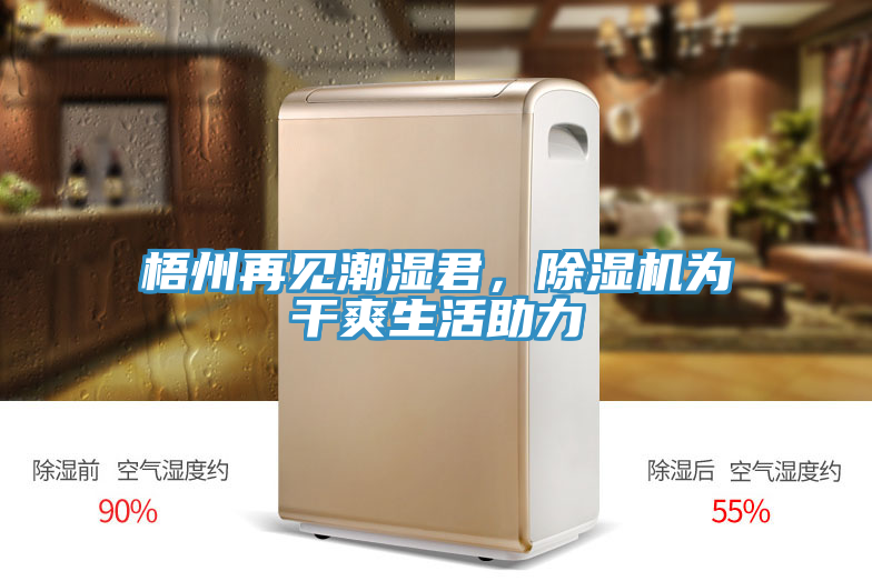 梧州再见潮湿君，小黄片直播视频为干爽生活助力