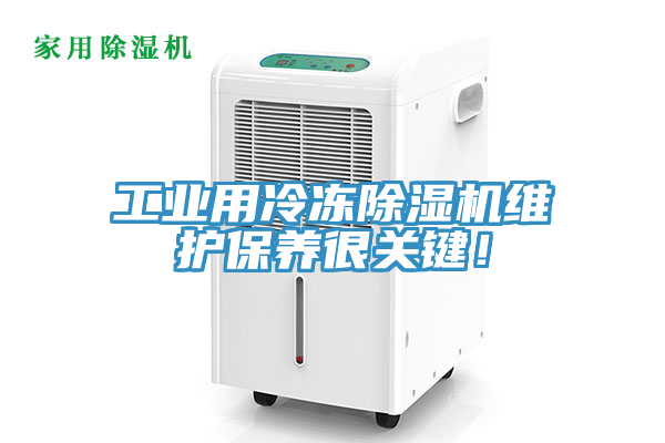 工业用冷冻小黄片直播视频维护保养很关键！