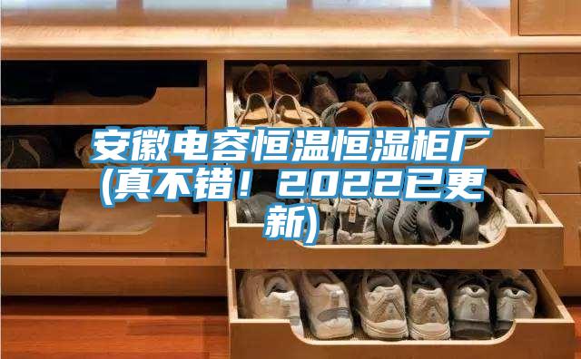 安徽电容恒温恒湿柜厂(真不错！2022已更新)