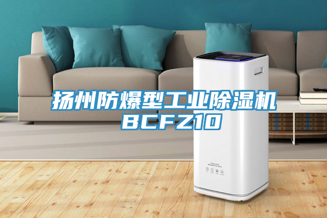 扬州防爆型工业小黄片直播视频 BCFZ10