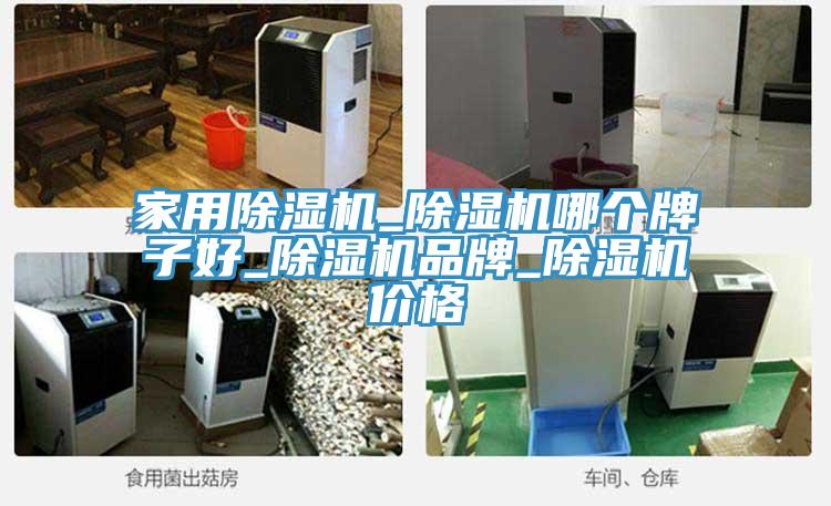 家用小黄片直播视频_小黄片直播视频哪个牌子好_小黄片直播视频品牌_小黄片直播视频价格