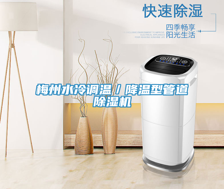 梅州水冷调温／降温型管道小黄片直播视频