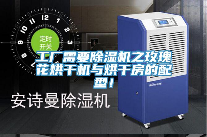 工厂需要小黄片直播视频之玫瑰花烘干机与烘干房的配型！