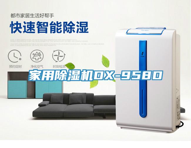 家用小黄片直播视频DX-958D
