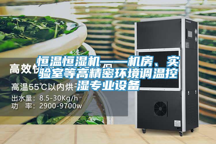 恒温恒湿机——机房、实验室等高精密环境调温控湿专业设备