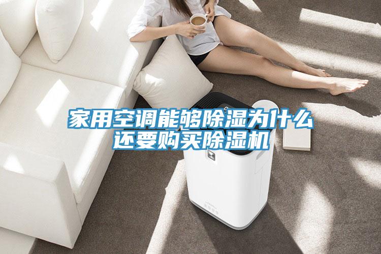 家用空调能够除湿为什么还要购买小黄片直播视频