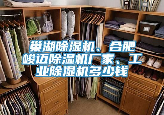 巢湖小黄片直播视频、合肥峻迈小黄片直播视频厂家、工业小黄片直播视频多少钱