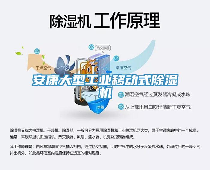 安康大型工业移动式小黄片直播视频